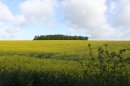 Vallée Paul